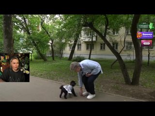 Загрузка..